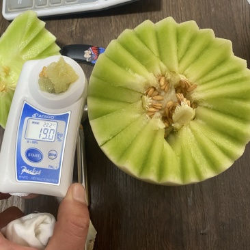 网红冰淇淋甜瓜玉菇。已大量上市天到你的心尖尖