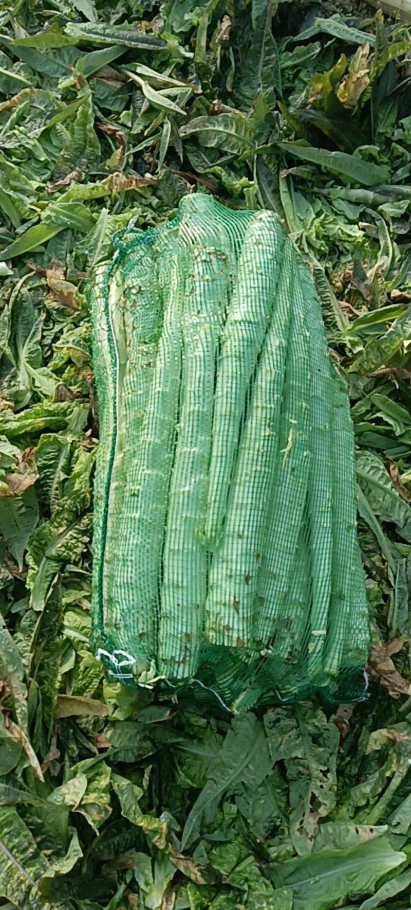 精品杆子货