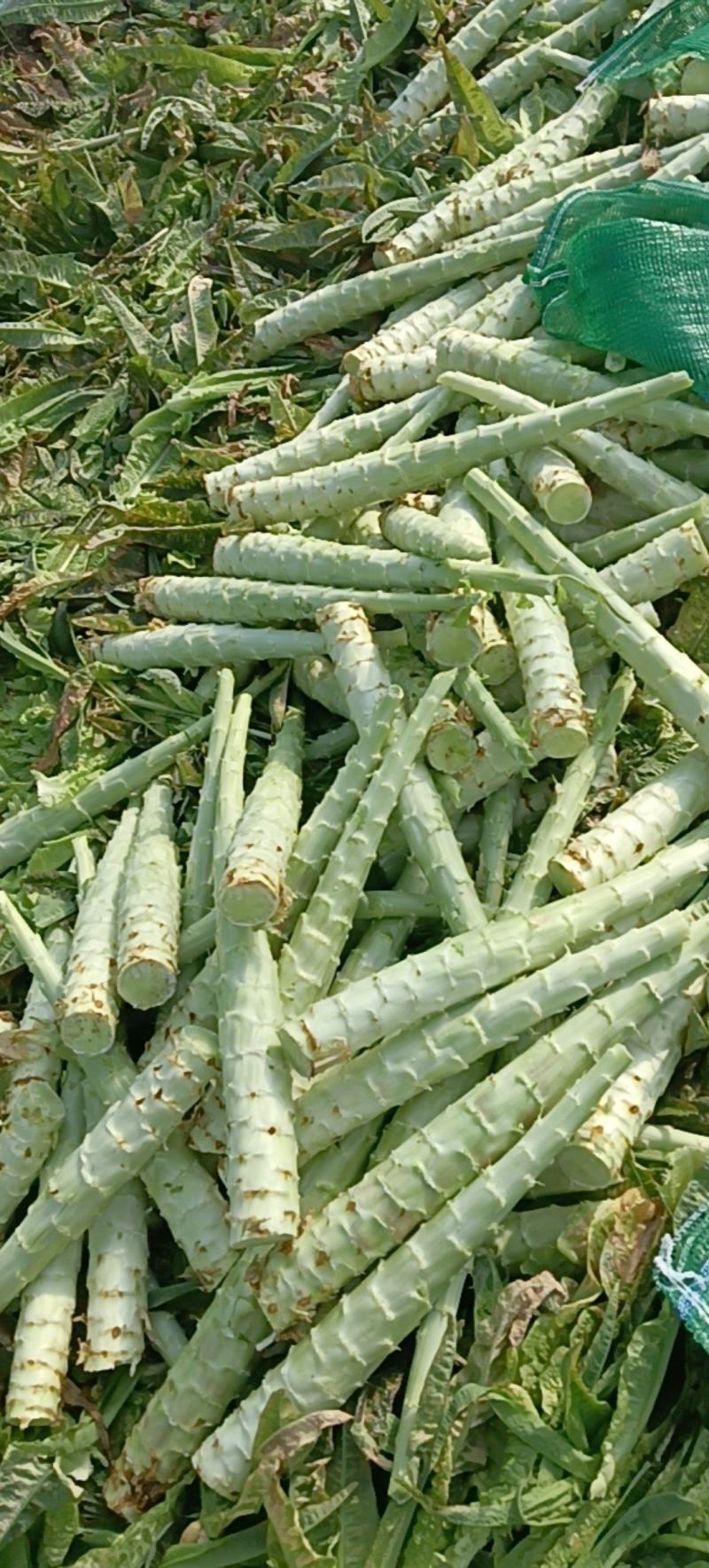 精品杆子货