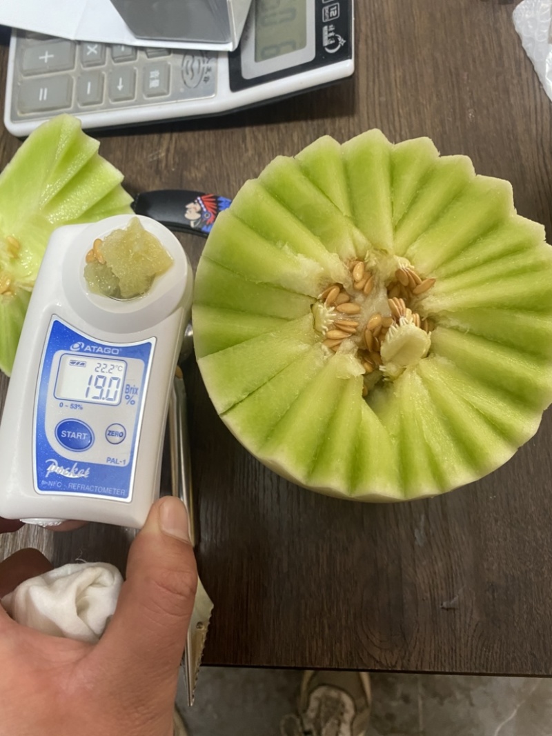 网红冰淇淋甜瓜玉菇。已大量上市天到你的心尖尖