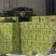 网红冰淇淋甜瓜玉菇。已大量上市天到你的心尖尖