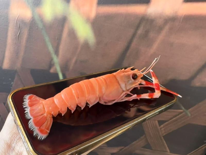 刺身深海螯虾（船冻工艺）