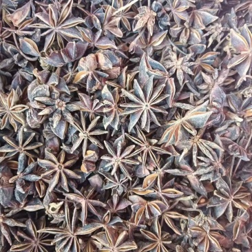 广西中等大红八角，产地直发，量大从优