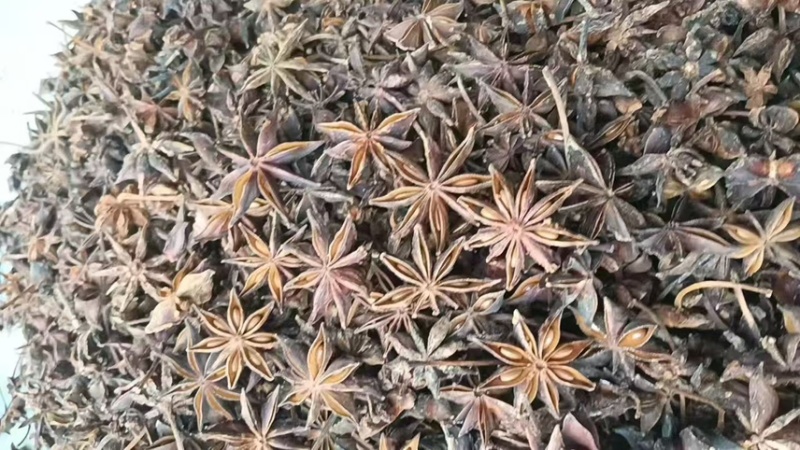 广西中等大红八角，产地直发，量大从优