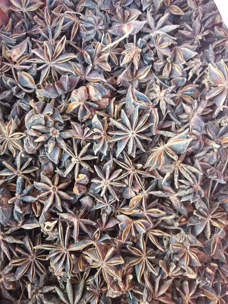 广西中等大红八角，产地直发，量大从优