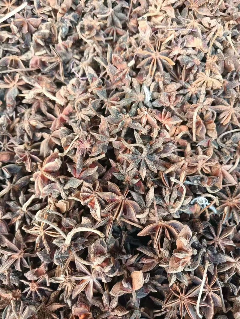 广西中等大红八角，产地直发，量大从优