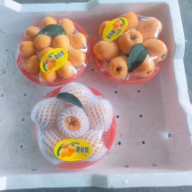 四川精品五星枇杷，35乐起步，口感纯甜