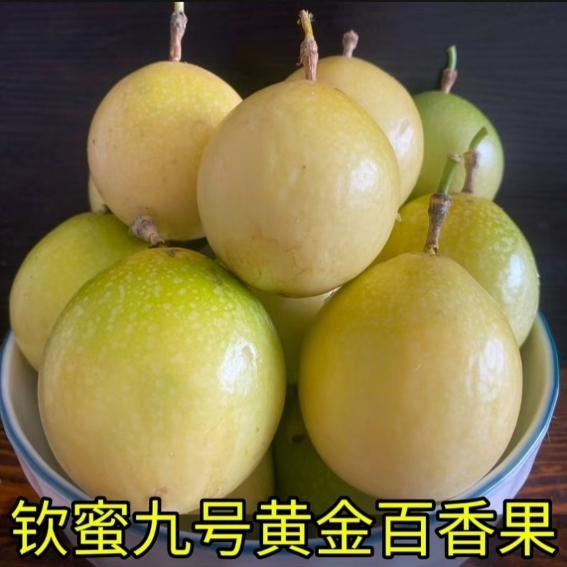 钦蜜9号百香果电商一件代发品质好对接各大平台
