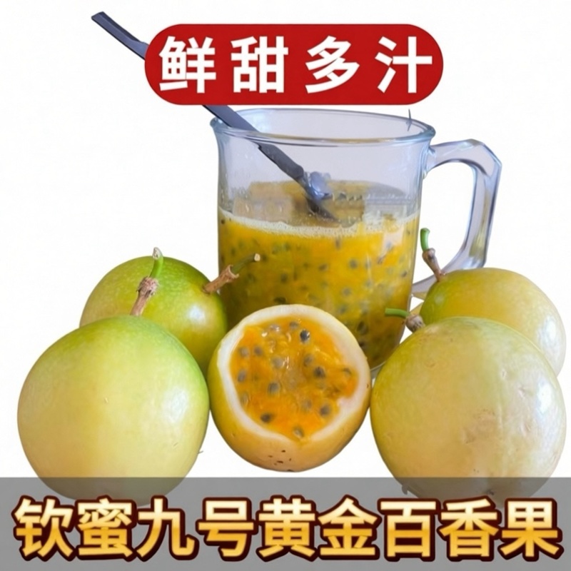 钦蜜9号百香果电商一件代发品质好对接各大平台
