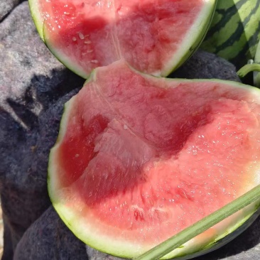 大棚美都西瓜产地直销皮薄汁多味甜