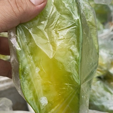 甜杨桃