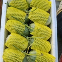 72大量有货熟度高嘎嘎甜