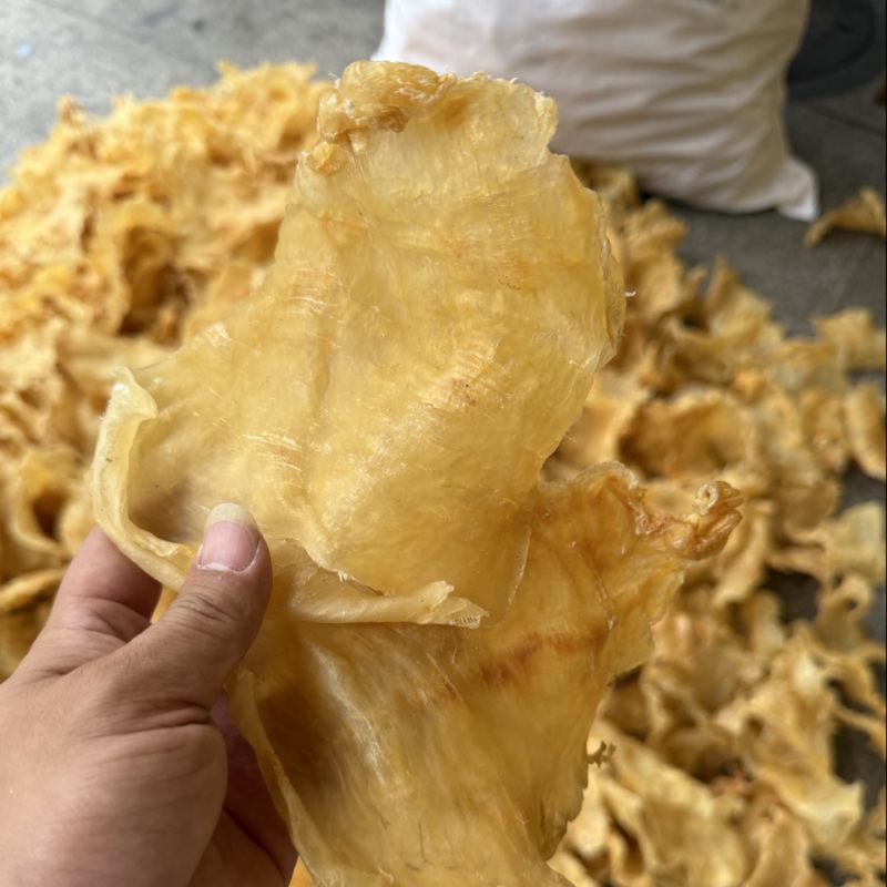 鱼胶花胶斗湖公鱼胶花胶口感厚肉Q弹性价比高