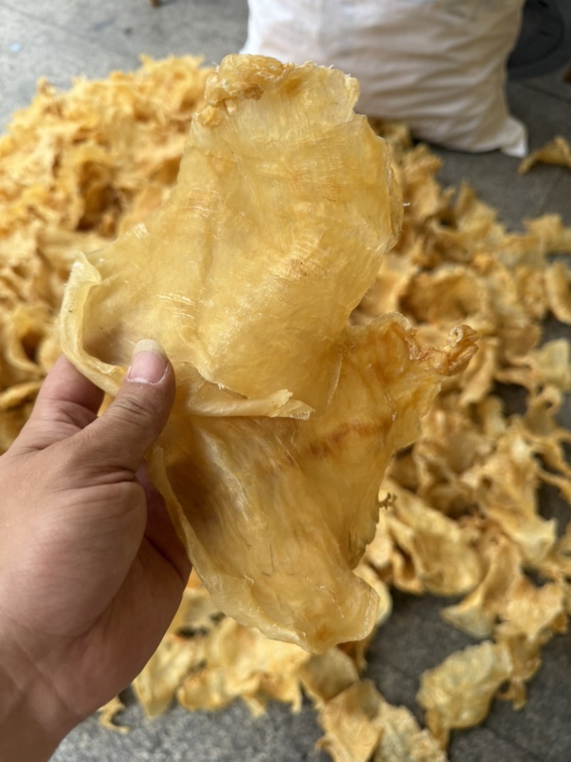 鱼胶花胶斗湖公鱼胶花胶口感厚肉Q弹性价比高