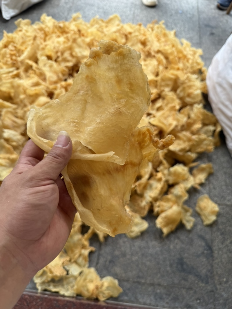 鱼胶花胶斗湖公鱼胶花胶口感厚肉Q弹性价比高