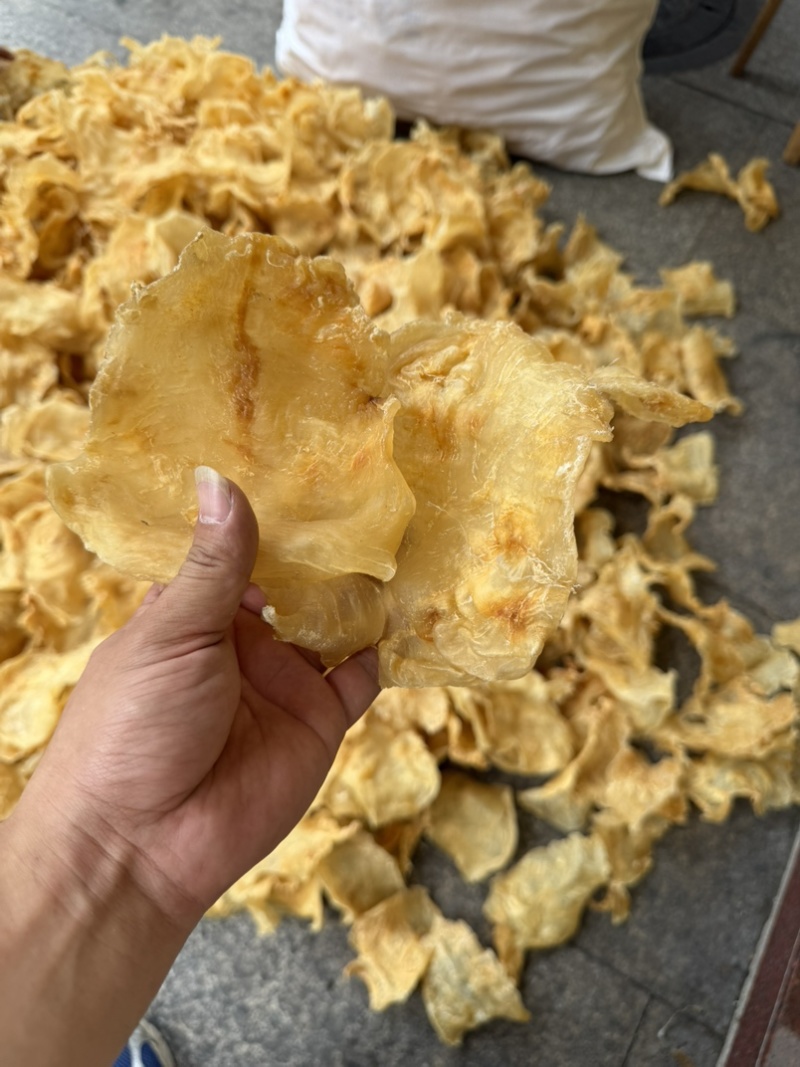 鱼胶花胶斗湖公鱼胶花胶口感厚肉Q弹性价比高