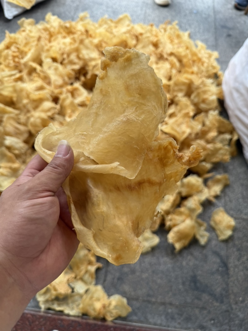 鱼胶花胶斗湖公鱼胶花胶口感厚肉Q弹性价比高