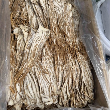 当归皮片特价