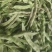 紫花油豆角东北架油豆条形好鲜嫩现场挑随便装满意为止