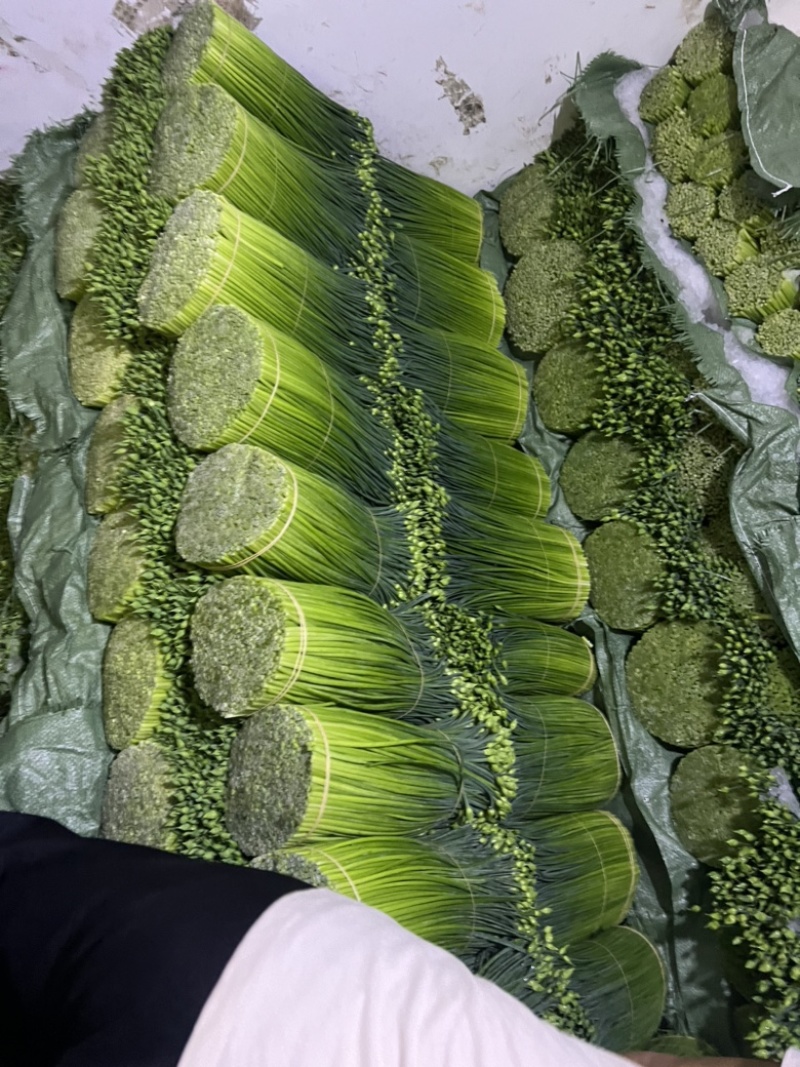 韭菜花
