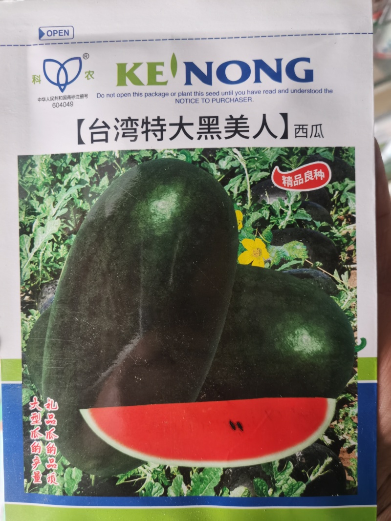 台湾黑美人（大果型）种子果肉深红细嫩多汁果型优美