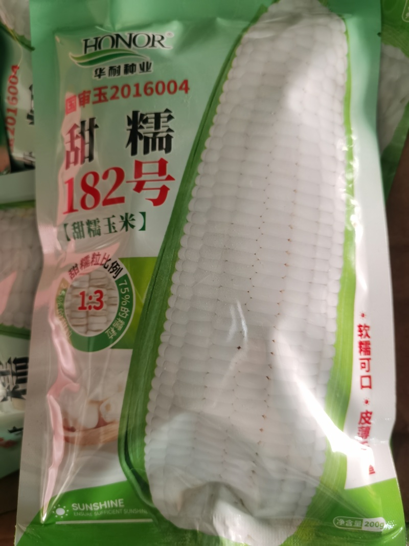 国审金甜糯1925国审华耐182甜糯玉米大棒