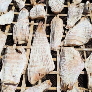 湖南毛笋笋干现货精品农家自制高山采摘