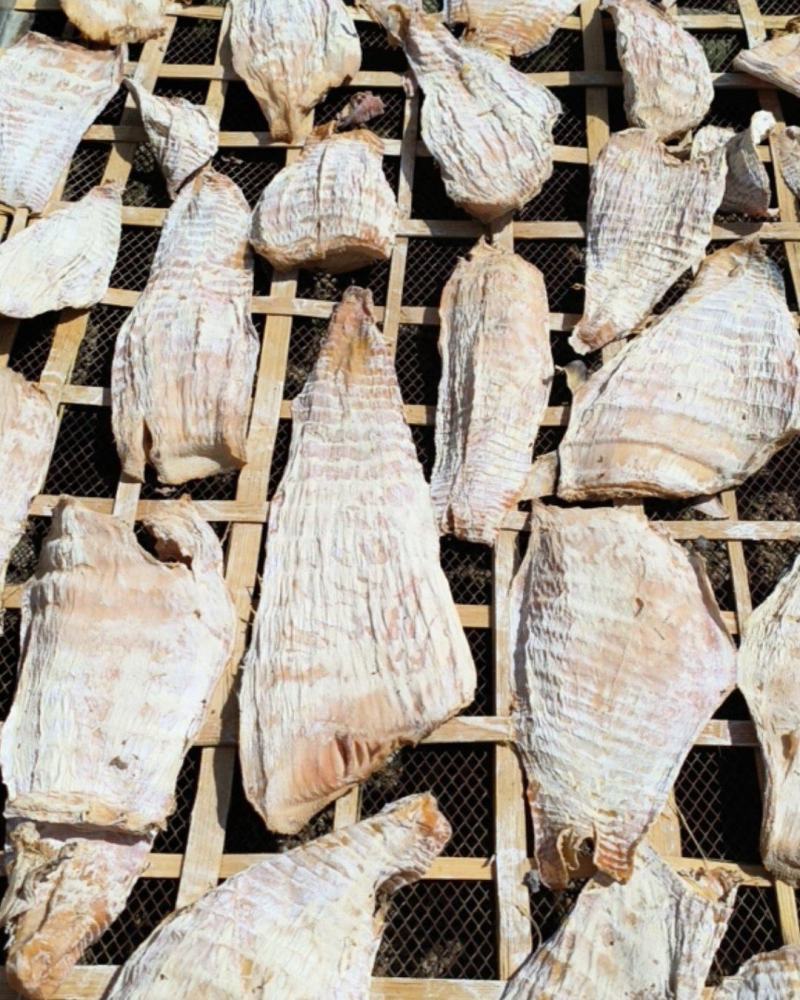 湖南毛笋笋干现货精品农家自制高山采摘