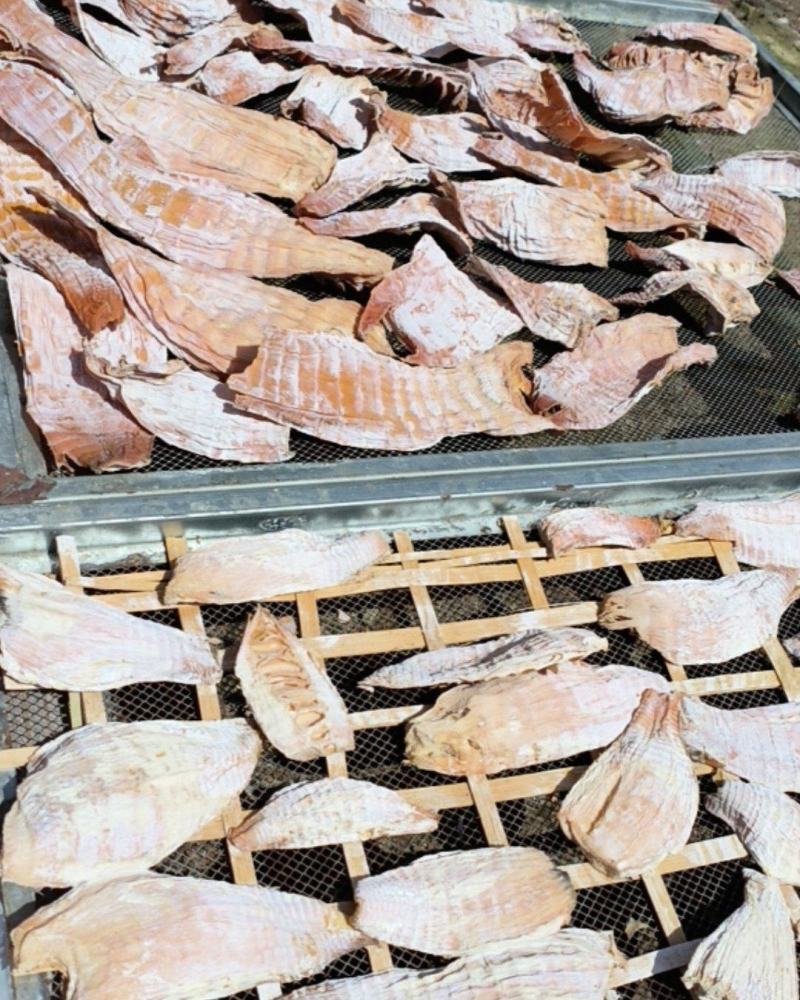 湖南毛笋笋干现货精品农家自制高山采摘