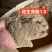花生壳粉过筛除尘，规格齐全1.0-4.0！做载体，做饲料！