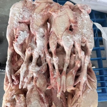 二级三黄鸡10吨，编织袋