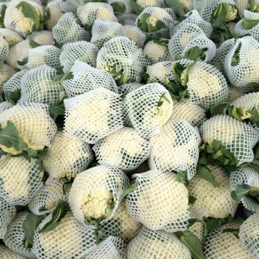 精品花菜大量现货对接全国各批发市场加工厂