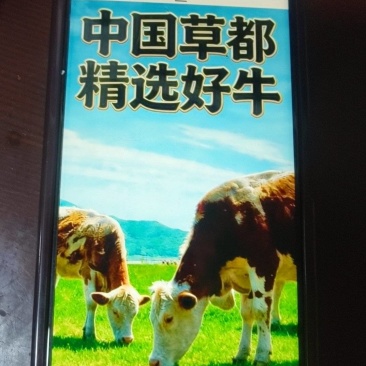 精选内蒙古草地牛肉
