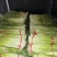 精品蒜薹大量现货对接全国各批发市场加工厂