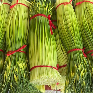 精品白帽干苔可长期入库