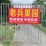 锦绣黄桃大量供应