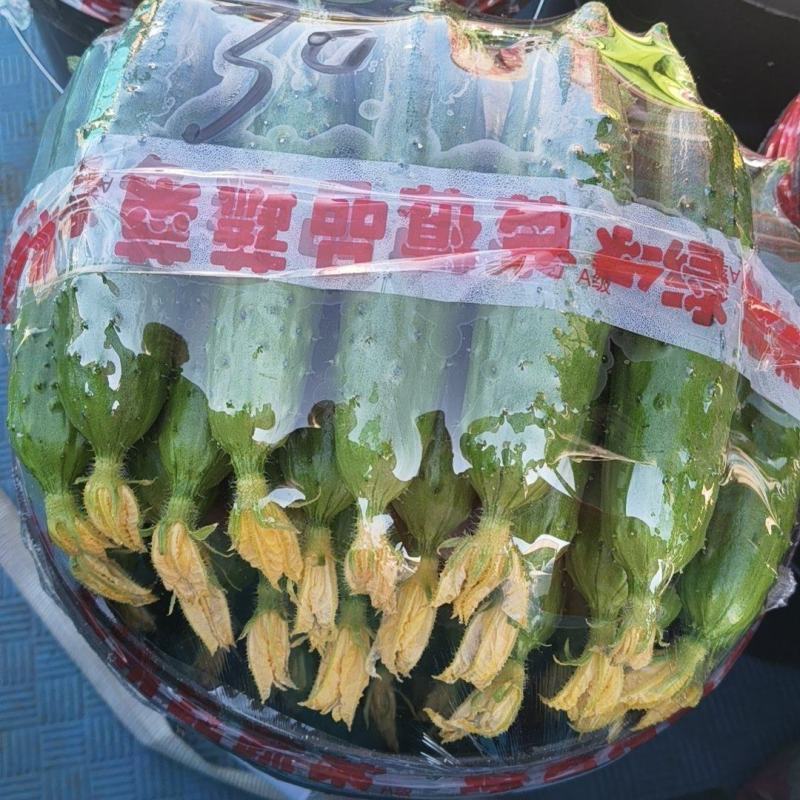 辽宁绥中旱黄瓜产地掉价了！好货1.78