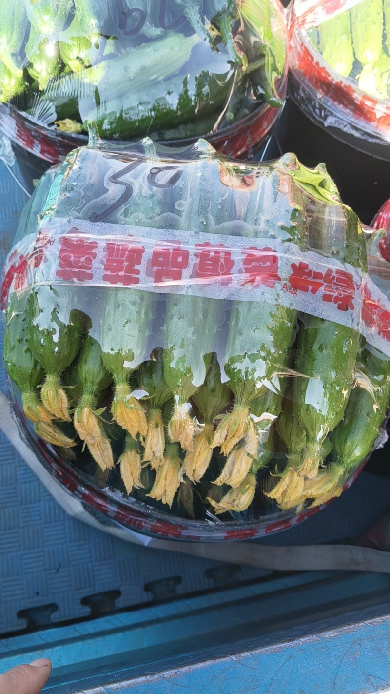辽宁绥中旱黄瓜产地掉价了！好货1.78