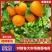 精选沃柑云南宾川大理丽江永胜沃柑一手货源全国发货商超代发