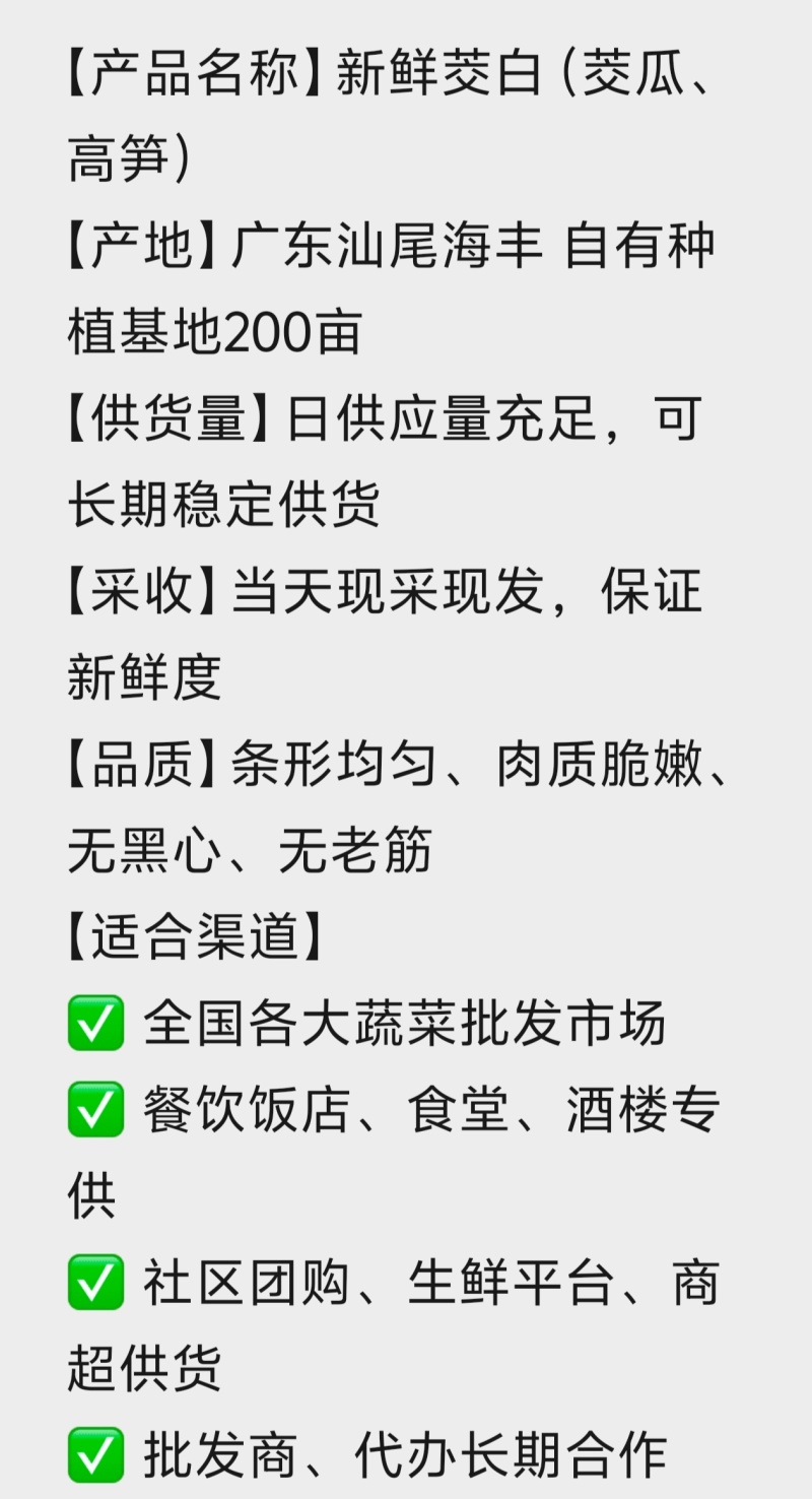 2026【产地直供】汕尾海丰茭白新鲜现采大量批