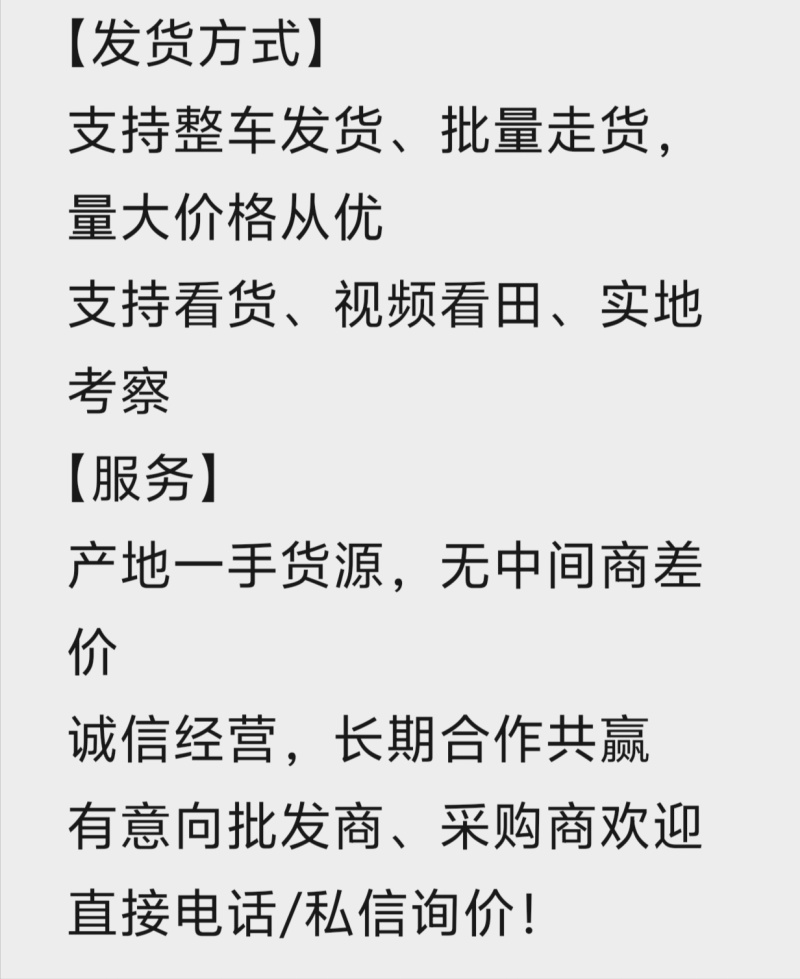 2026【产地直供】汕尾海丰茭白新鲜现采大量批