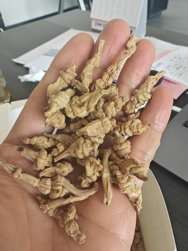 螺丝菜机器烘干货
