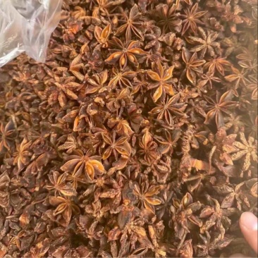本地大红八角
