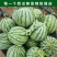 版纳麒麟瓜代采