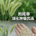 狗尾巴草籽