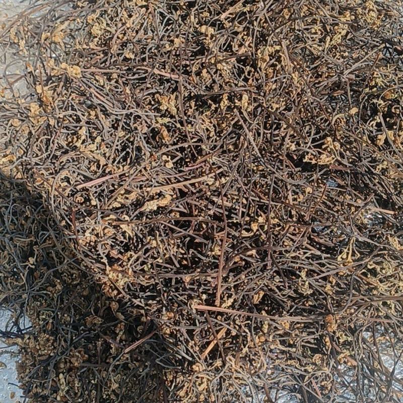 干蕨菜。