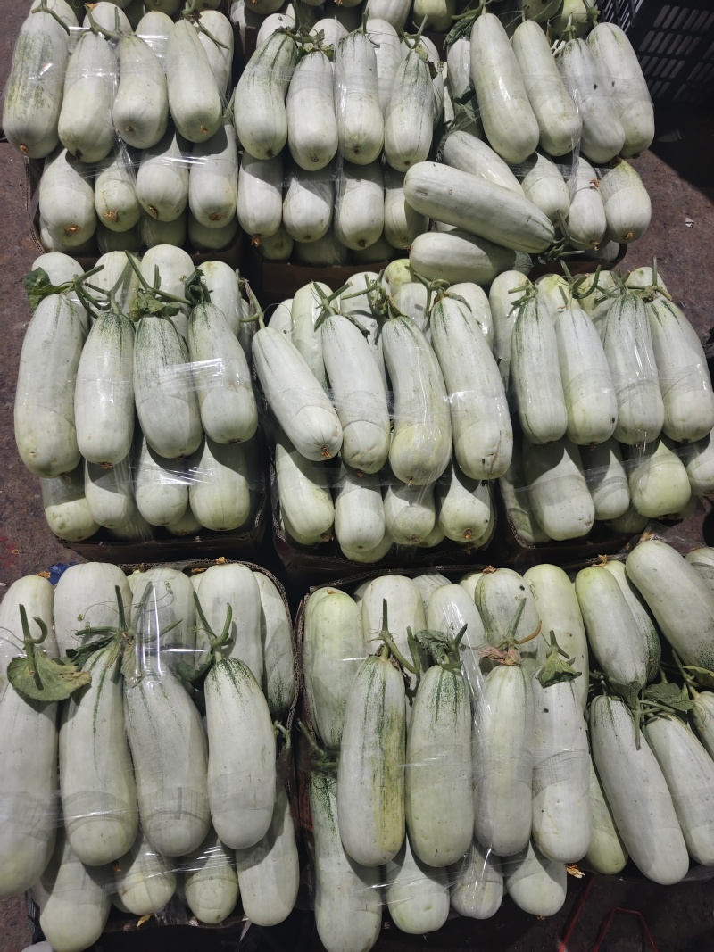 博洋9博洋61绿宝星甜二十花美人冰糖脆头茬口感香酥脆甜