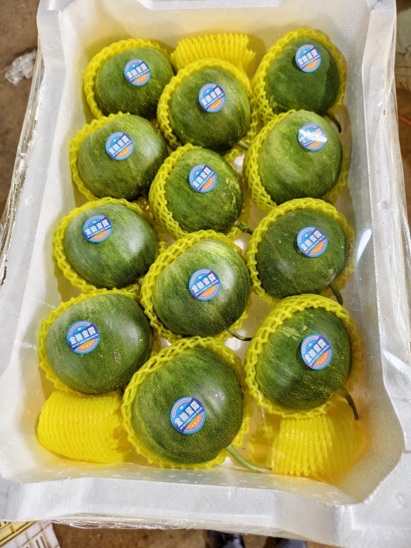 博洋9博洋61绿宝星甜二十花美人冰糖脆头茬口感香酥脆甜