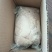 新鲜猪小肚干净无异味卤煮煲汤优选
