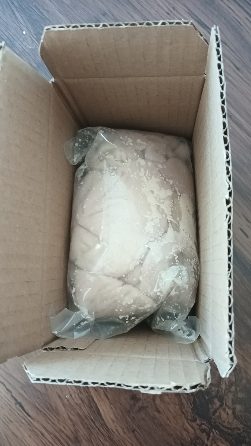 新鲜猪小肚干净无异味卤煮煲汤优选